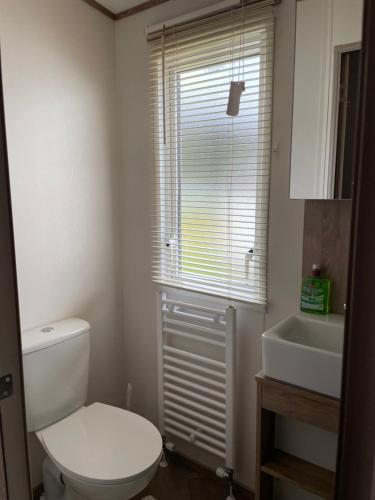a bathroom with a toilet and a sink and a window at The Wimbledon 70 in Dunoon