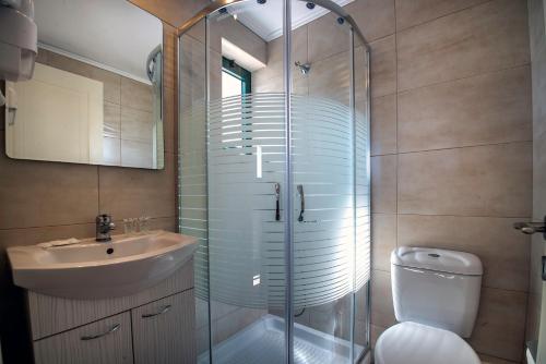 a bathroom with a shower and a sink and a toilet at Palatia Village Hotel Apartments in Hersonissos