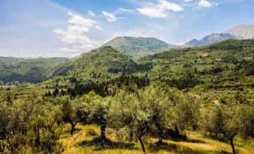 a field with trees and mountains in the background at Mystras Inn in Mystras
