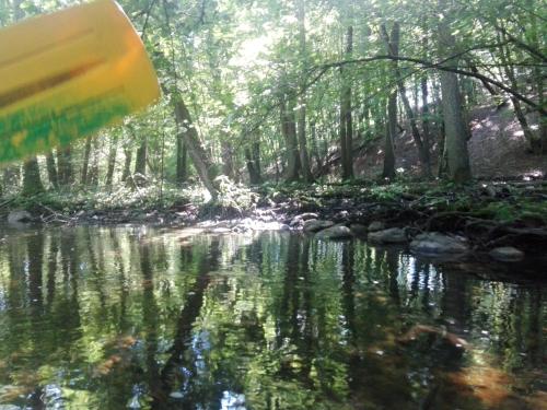 a stream in a wooded area with trees at Domek na Mazurach Leśne Zacisze in Ostaszewo