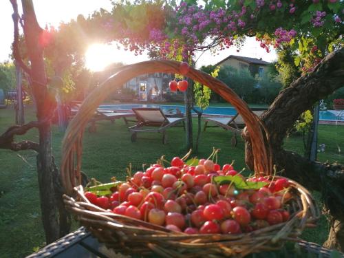 Un jardín fuera de Podere Piandarca