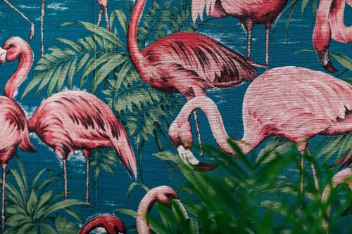 a group of pink flamingos on a blue background at Fris. in Cadzand