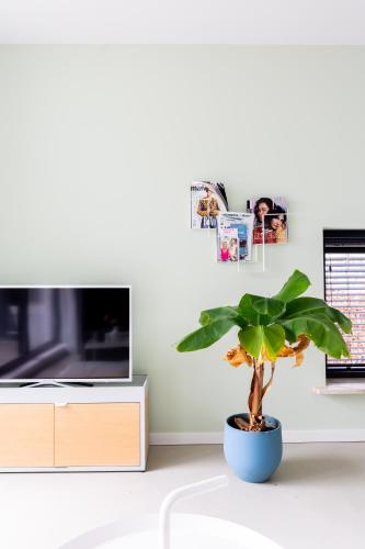 a plant in a blue pot in front of a tv at B&B StudioLKE in Heeze