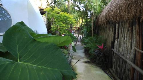 a large green leaf leaning against a fence at Glamping Tulum with private mini pool in Tulum