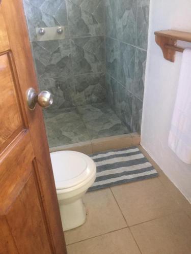 a bathroom with a toilet and a shower at Villas Casa Carlos in La Abuela