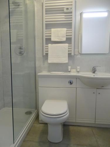 a bathroom with a toilet and a sink and a shower at The Beeches Hotel & Leisure Club in Nottingham