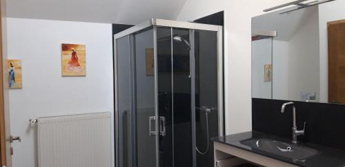 a bathroom with a shower and a sink and a mirror at gite 2 ou 3 personnes - campagne in Bourbriac