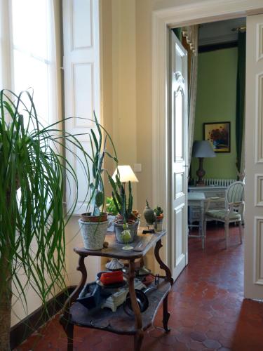 - un couloir avec une table et des plantes dans l'établissement La Petite Saunerie, à Avignon