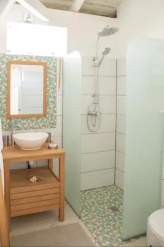 a bathroom with a sink and a mirror and a shower at Bungalow Vanille Pacane - Vue Mer avec Spa Privé in Les Trois-Îlets