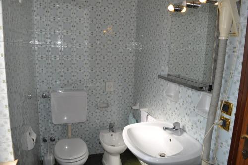 a bathroom with a sink and a toilet and a shower at Hotel Piol in Limana