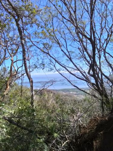 a view of the ocean through the trees at Hotel y restaurante Maktub in Nandayure