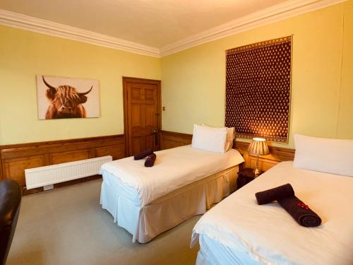 F2 Charming City Centre Apartment full of Character