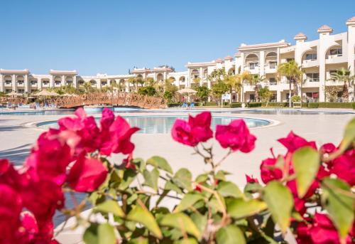 a group of pink roses in front of a resort at Serenity Alma Heights - Ex Serenity Fun City in Hurghada