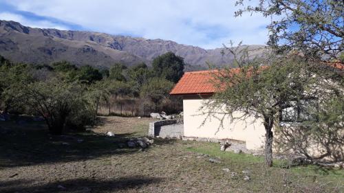 ASM CASA III – Fotod 4
