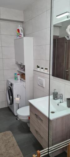 ein Badezimmer mit einem WC, einem Waschbecken und einem Spiegel in der Unterkunft Sibiu 1848 Apartment in Sibiu