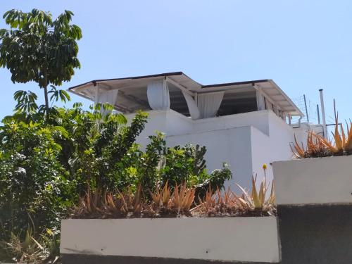 a white house with plants in front of it at Casa Doramas VV in Las Palmas de Gran Canaria