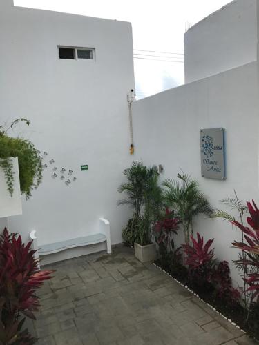 a room with plants and a white wall at Quinta Santa Anita in Playa del Carmen