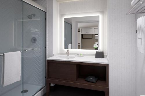 a bathroom with a sink and a shower and a mirror at Holiday Inn Rock Hill, an IHG Hotel in Rock Hill