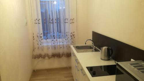 una piccola cucina con lavandino e finestra di Nameliai ir apartamentai Šventojoje a Šventoji