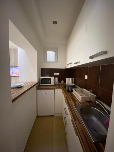 a small kitchen with a sink and a microwave at Cika Ljuba in Belgrade