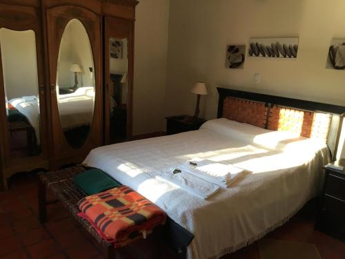 a bedroom with a large bed and a mirror at Reserva Natural RG in Santiago del Estero