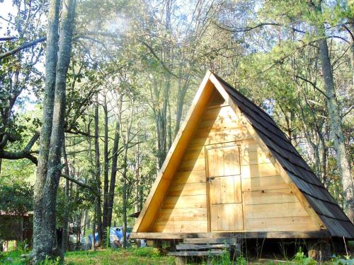 une petite cabane en bois au milieu d'une forêt dans l'établissement Campamento Plan de los Álamos, à Teul de González Ortega