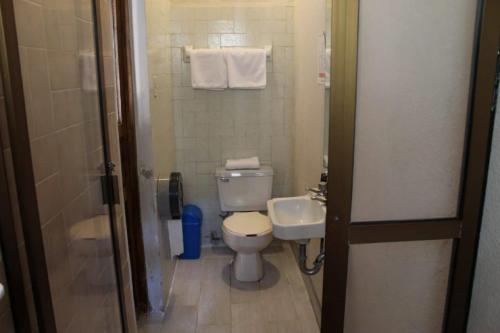 a small bathroom with a toilet and a sink at Hotel Sautto in San Miguel de Allende