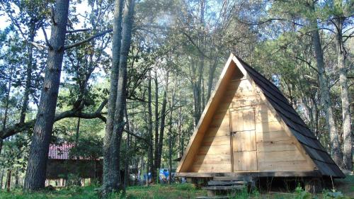 Photo de la galerie de l'établissement Campamento Plan de los Álamos, à Teul de González Ortega