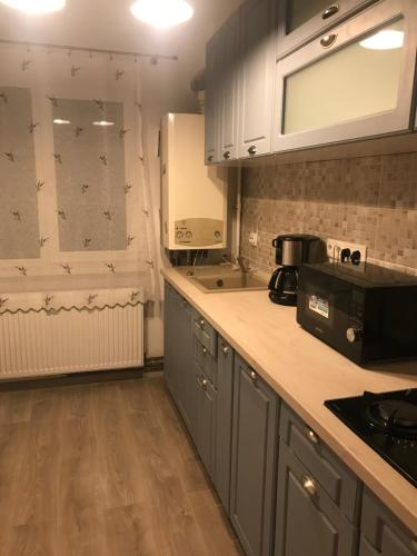 a kitchen with gray cabinets and a counter top at Apartament Colina in Cluj-Napoca