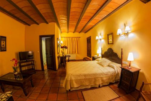 a bedroom with a bed and a tv in it at Hotel Bodega La Venta in Casas de los Pinos