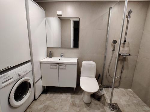 W łazience znajduje się toaleta, umywalka i prysznic. w obiekcie Tähtisara w mieście Syöte