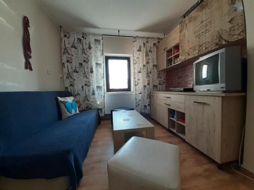 ein Wohnzimmer mit einem blauen Sofa und einem TV in der Unterkunft Apartament Cristina in Onești