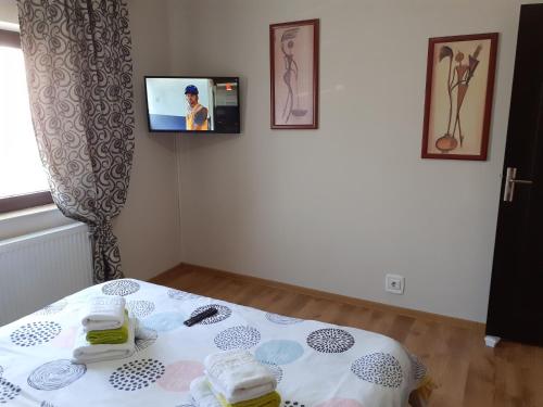 Zimmer mit einem Tisch und einem TV an der Wand in der Unterkunft Apartament Cristina in Onești