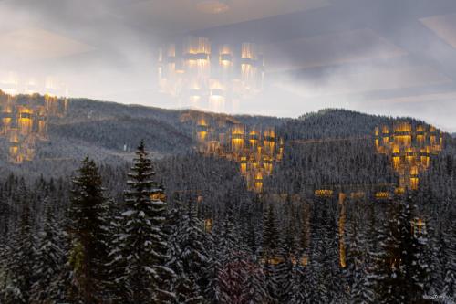 a view of a mountain with trees and buildings at Hotel Belmont & Spa in Sinaia