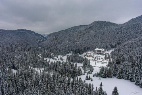 a view of a snow covered mountain with trees at Hotel Belmont & Spa in Sinaia