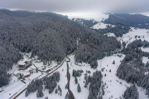 an aerial view of a snow covered mountain with trees at Hotel Belmont & Spa in Sinaia