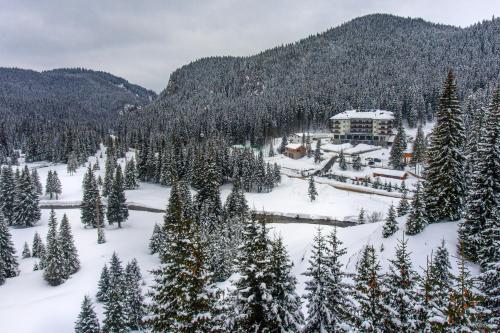 a resort in the middle of a snow covered forest at Hotel Belmont & Spa in Sinaia