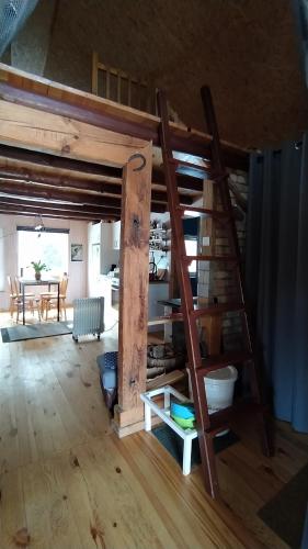 a loft bed with a ladder in a room at Podlaskie Żuczki in Żuki