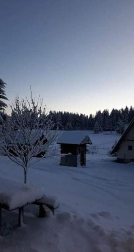 Laura in de winter