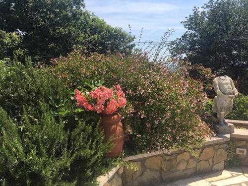 a vase filled with pink flowers in a garden at Podere Belvedere - Villa with private swimming-pool in Carmignano