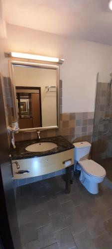 a bathroom with a sink and a toilet and a mirror at Pensiunea Energy in Căpuşu Mic