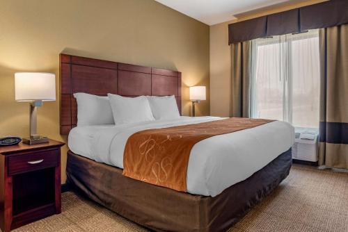 a large bed in a hotel room with two lamps at Comfort Suites Airport South in Montgomery