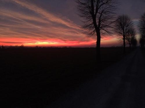 a sunset with a tree in a field at Agriturismo Il Capitolo in Carpaneto Piacentino