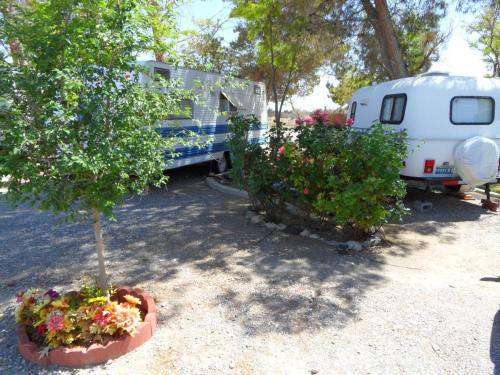 Gallery image of Pahrump RV Park & Lodging in Pahrump