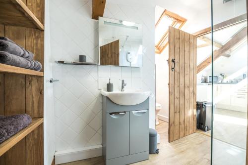 uma casa de banho com um lavatório e um espelho em Ashgrove Farm - 1 Bedroom Apartment - Llawhaden - Narberth em Narberth
