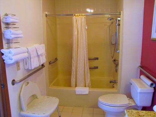 a bathroom with a shower and a toilet at Dutton Inn in Branson