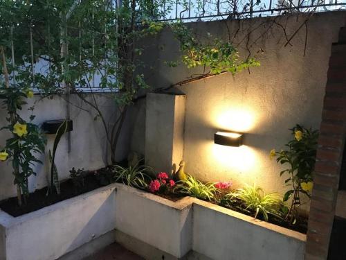 een tuin met planten en een licht op een muur bij Cabildo y Juramento con parrilla in Buenos Aires