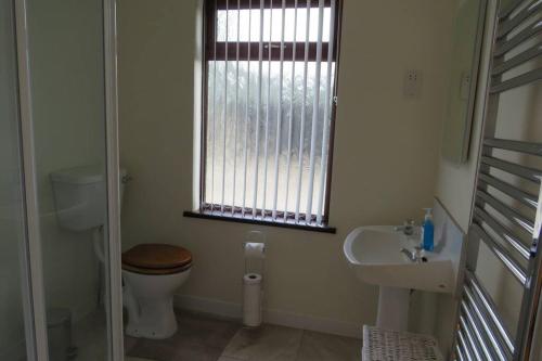 a bathroom with a toilet and a sink and a window at Jenny's Farm Cottage, Giant's Causeway in Dunseverick