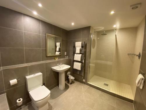 a bathroom with a toilet and a sink and a shower at Loch Lomond Lodge in Balloch