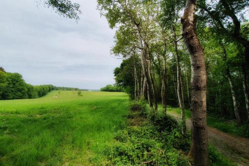 a field of grass with trees in the distance at Ferienwohnung am Atelier Horn in Overath